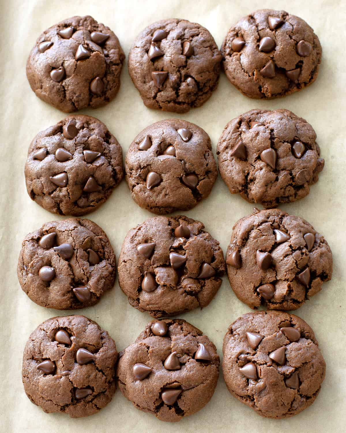 biscuits sur une plaque à pâtisserie